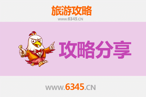 林芝米林旅游攻略：跟团与自由行全方位对比